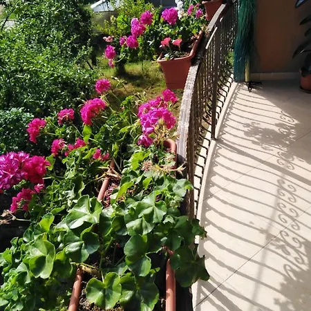 Casa Diana-maria Homestay