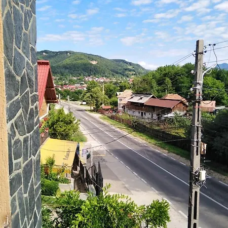 Homestay Casa Diana-maria