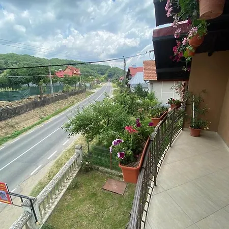 Casa Diana-maria Homestay