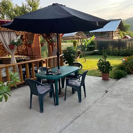 Homestay Casa Diana-maria