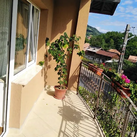 Homestay Casa Diana-maria Curtea De Arges