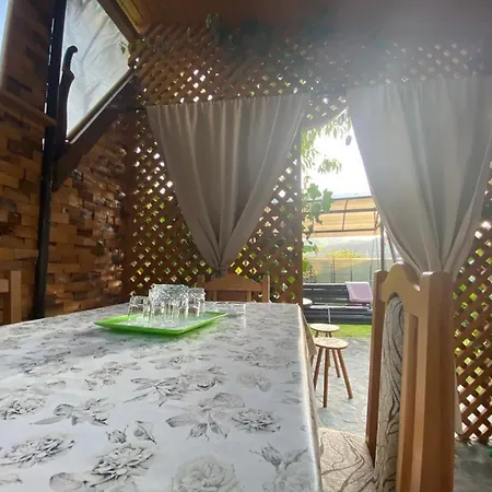 Homestay Casa Diana-maria *