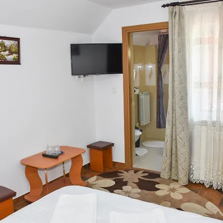Homestay Casa Diana-maria