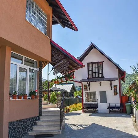 Homestay Casa Diana-maria *